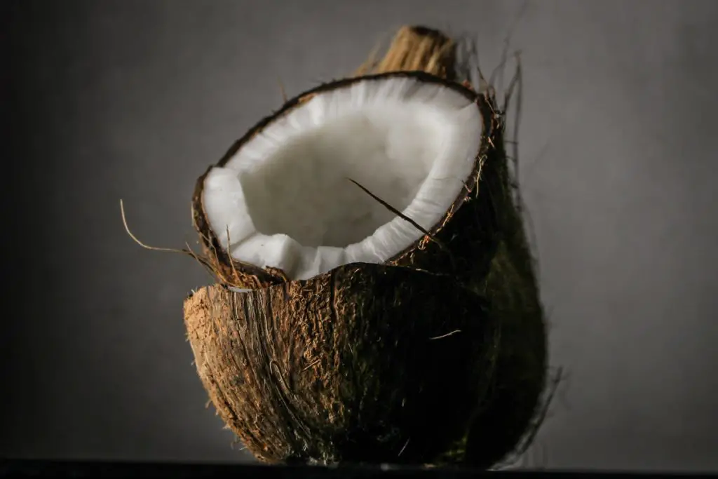 coconut