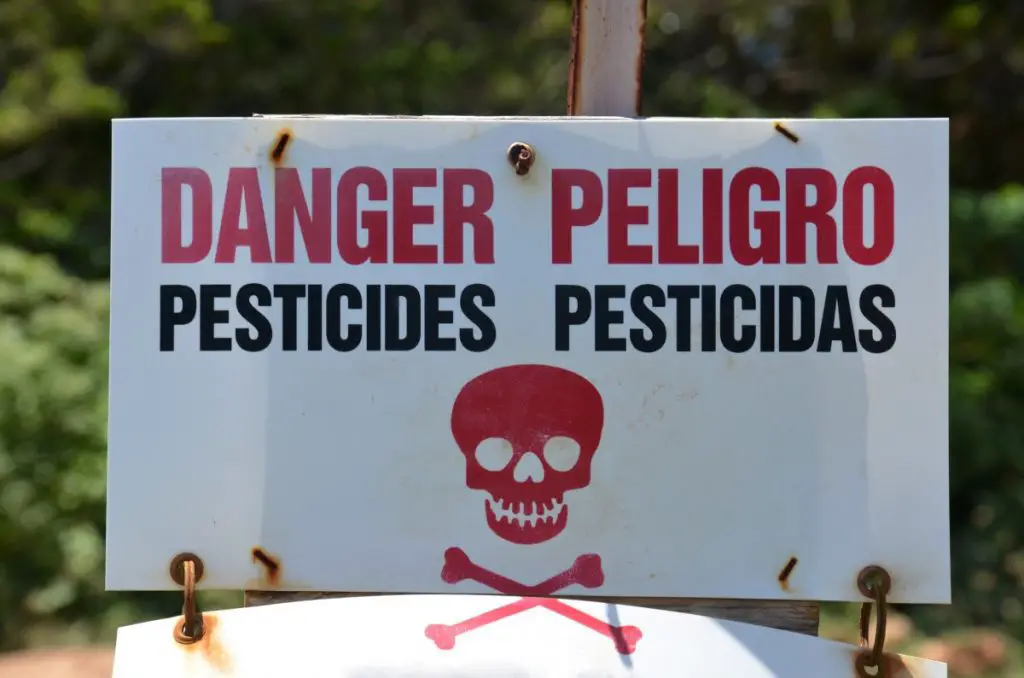 Pesticides Are The Only Solution